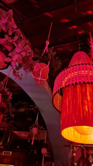 Many plants at Let‘s be Frank in Vienna