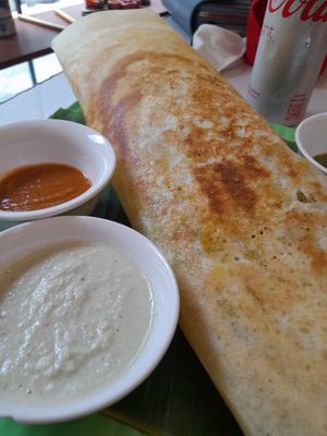 Massive masala dosa at Banana Leaf Saigon in Ho Chi Minh City