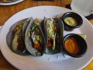  at Salvei in Playa Del Carmen