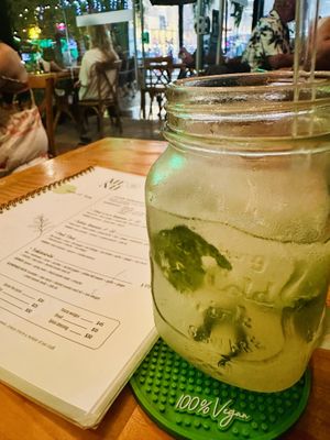   at Salvei in Playa Del Carmen