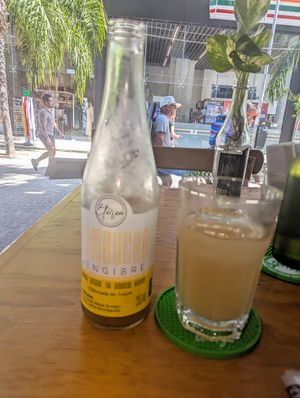 Kombucha at Salvei in Playa Del Carmen