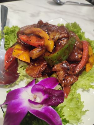  at Voila in Kuala Lumpur