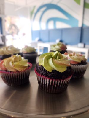  at The Water Bar in Geneva