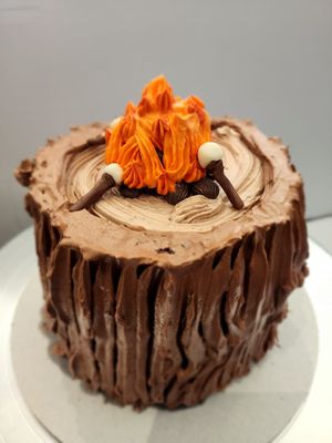 Smore camp fire cake! So freaking good!!! at The Water Bar in Geneva