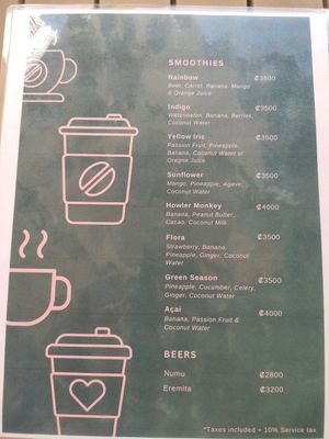 Drinks 2/2 at Flora Vegan Cafe in Tamarindo