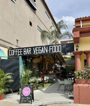 It’s so cute!   at Flora Vegan Cafe in Tamarindo