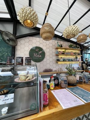   at Flora Vegan Cafe in Tamarindo