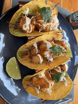  #Veganuary at Flora Vegan Cafe in Tamarindo