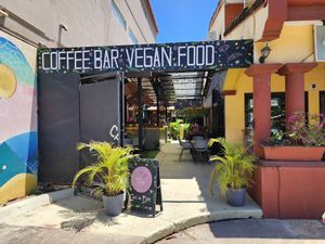 Amazing at Flora Vegan Cafe in Tamarindo