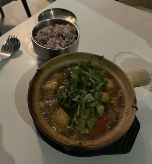 Braised tofu and steamed ricee  at Janet's  in Pontypridd