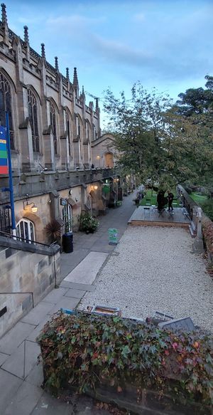 Pulse superb vegan restaurant in center Edinburgh! Go there! at Pulse in Edinburgh