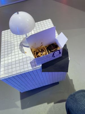   at Cinnamood in Dusseldorf