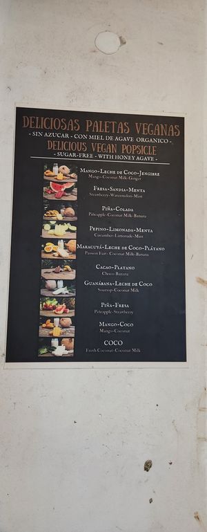 Vegan plaletas ..sugar free at Chalulu Café in Tulum