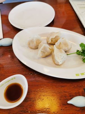 Potsticker dumplings at Tofu Vegan - Spitalfields in East London