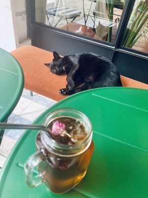   at M Cafe in Carcavelos