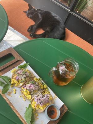   at M Cafe in Carcavelos