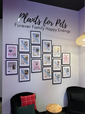 Adopted pet wall  at Vine Vegan in Brandon