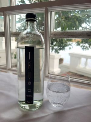 Sparkling Water. at Hotel Portmeirion & Castell Deudraeth in Gwynedd