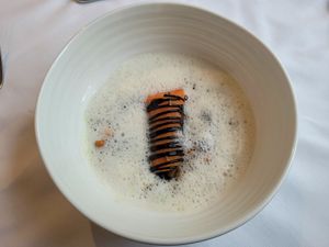 Braised Sand Carrot, Smoked Puy Lentils, Black Garlic, Hazelnuts. at Hotel Portmeirion & Castell Deudraeth in Gwynedd