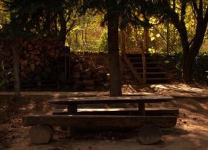 dvorište at Šumska 1 in Sremska Kamenica