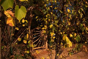 Kapija sunca at Šumska 1 in Sremska Kamenica