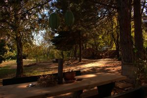 dvorište at Šumska 1 in Sremska Kamenica