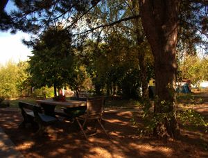 dvorište  at Šumska 1 in Sremska Kamenica