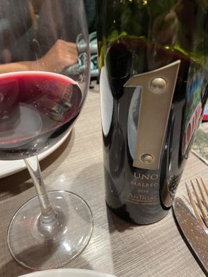 Malbec  at Picazzo's Organic Italian Kitchen in Sedona