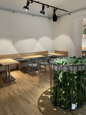   at Indie Burger in Graz