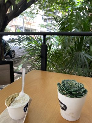 Pistachio and coconut ice cream   at Patti Gelateria Laureles in Medellin