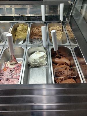 Las opciones veganas están claramente identificadas, pero son más caros que los demás at Patti Gelateria Laureles in Medellin