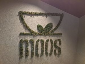  at greenhouse Café & PopUp in Esslingen