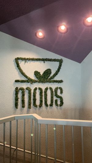   at greenhouse Café & PopUp in Esslingen