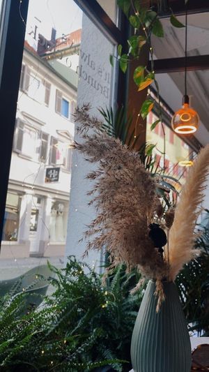  at greenhouse Café & PopUp in Esslingen