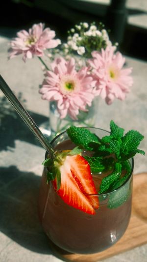  at greenhouse Café & PopUp in Esslingen