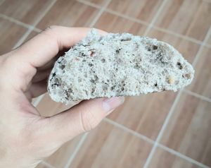 black rice steamed bun (without filling) - inside at Joseon Snack - 조선스낵 in Busan