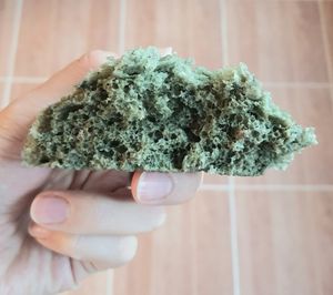 mugwort bun (without filling) - inside at Joseon Snack - 조선스낵 in Busan