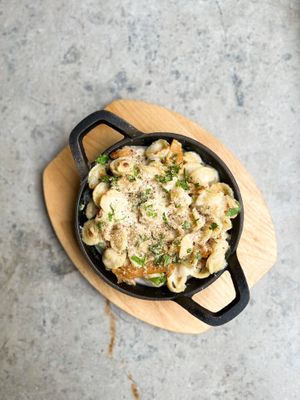 Chicken Alfredo at Virtuous Pie in Cologne