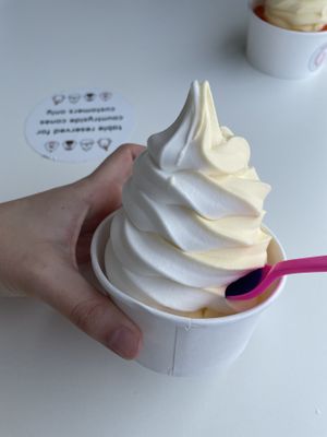 Vegan Twist  at Countryside Cones in Omaha