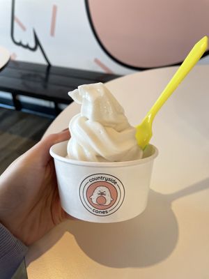 Vegan Vanillaa  at Countryside Cones in Omaha