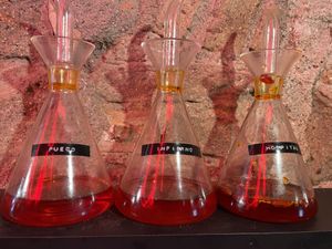Spicy oils  at El Vato Loco in Barcelona