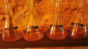 Spicy oils: spicy, fire, hell and hospital at El Vato Loco in Barcelona