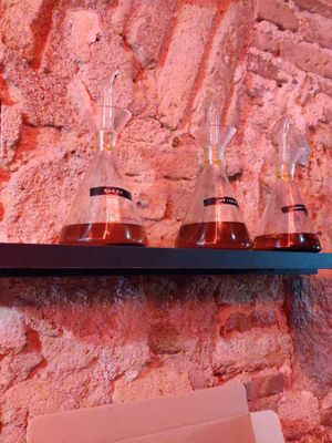  at El Vato Loco in Barcelona