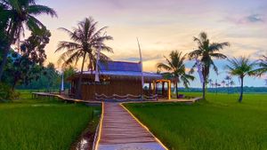  at The Golden Ricefields Karimunjawa in 