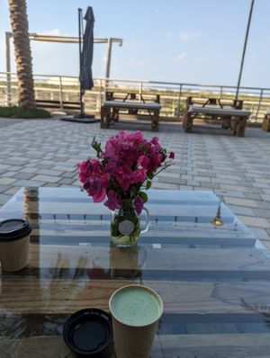 Outdoor view, coconut matcha at Seven Wellness Center in Abu Dhabi