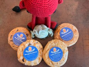 Annette's Vegan Bakery cookies now for sale! at devil's lettuce in Richmond