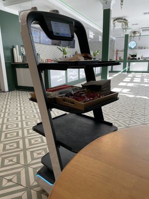 Food delivery via robot!  at Green Papaya in Dallas