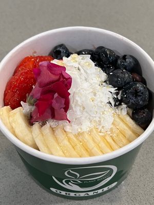  at Green Papaya in Dallas