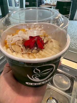  at Green Papaya in Dallas