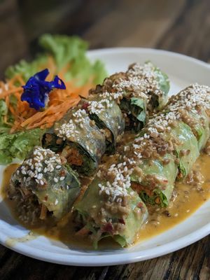 Fresh Spring Rolls at La Carotte Qui Rit in Surat Thani